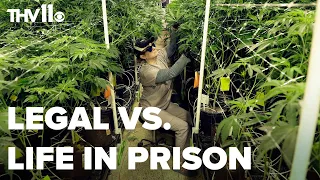 How the marijuana industry in Arkansas is complicated