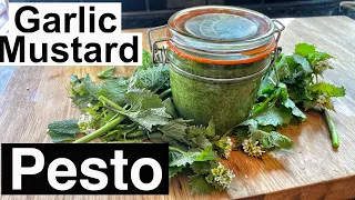 Garlic Mustard Pesto