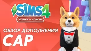 Обзор дополнения «The Sims 4 Кошки и собаки» | CAP