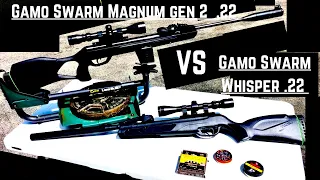 80 Shots - 4 different pellet types/brands...Gamo Magnum VS Whisper!  WHICH RIFLE IS THE BEST!?!?!?