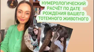 Нумерологический расчёт Тотемного животного по дате рождения#