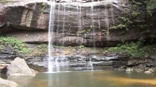 Blue Mountains, Australia ― Chillin' at the bottom of Wentworth Falls