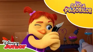 🧐 Rezolvarea problemelor cu Puișorii | Gașca Puișorilor | Disney Junior România