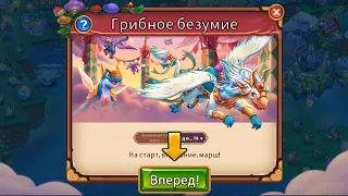 Merge Dragons! - 671 - Грибное безумие, все призы и награды за неделю, Сундук логова