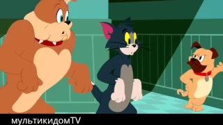 Cartoon Tom and Jerry.....Мультфильмы Том и Джерри для детей