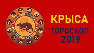 Крыса в год Свиньи. Восточный гороскоп на 2019 год