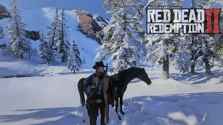 Free Black Arabian Horse l  Early In Chapter 2  Red Dead Redemption 2