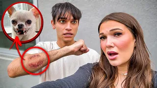 MY DOG BIT MY BOYFRIEND!