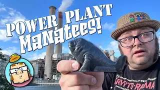 Totally and Completely Exhausted!  Visiting the Power Plant Manatees