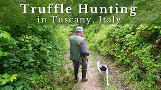 Truffle Hunting in Tuscany