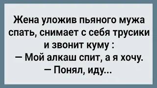 Как Кума Куму Дала! Сборник Свежих Анекдотов! Юмор!