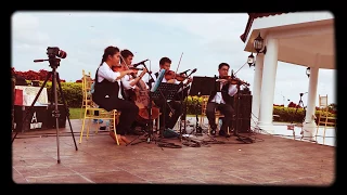 A Thousand Years String Quartet Cover