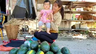 Harvest watermelons to bring to the market to sell, sow vegetable seeds