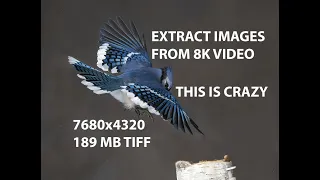 How To Extract an Image From An 8k Video Using Topaz Video Enhance AI | Nikon Z9 Canon R5 Sony A1