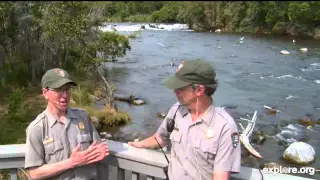 Katmai National Park: Live Chat with Ranger Roy and Ranger Mike  July 20, 2015