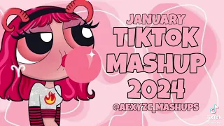 TikTok mashup 2024