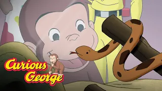 A Slithery Day 🐵 Curious George 🐵Kids Cartoon 🐵 Kids Movies 🐵Videos for Kids