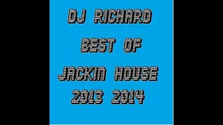 DJ Richard Best Of Jackin Basslines & Dirty Electro 2013 - 2 hour mix