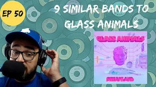 Let's Explore 9 Similar Bands to Glass Animals-The Music Rabbit Hole