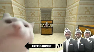 Best of Cat Vibing Coffin Meme - Minecraft