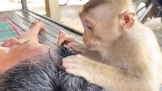 Diligent Zueii Skips Her Nap Time To Grooming Grandpa