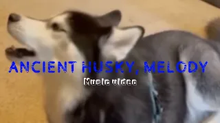 Ancient husky, Melody full music video ￼