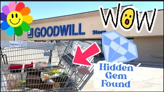 Digging For Treasures at the Goodwill Bins | THRIFT WITH ME | Shopping For Vintage to Resell