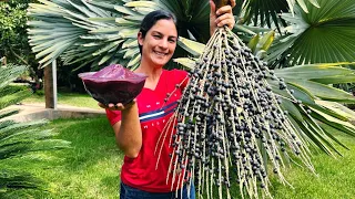 Açaí caseiro, como processar a fruta em casa