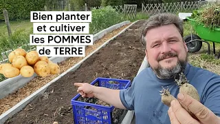 Comment bien planter et cultiver les POMMES de TERRE 🥔『TUTO』