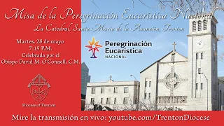 Misa de la Peregrinación Eucarística Nacional - La Catedral, Santa Maria de la Asunción, Trenton