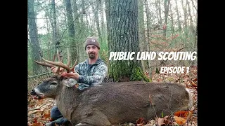 Public Land - Post Season Deer Scouting