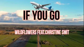 If You Go - Wildflowers feat. Christine Smit ( Lyrics Video) Wait 🫷 for me