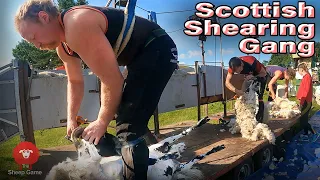 PLENTY OF BANTER WITH THIS GANG OF PART-TIME SHEEP SHEARERS!