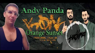 РЕАКЦИЯ НА  Andy Panda - Orange Sunset (Official Audio) 2019 НОВЫЙ АЛЬБОМ