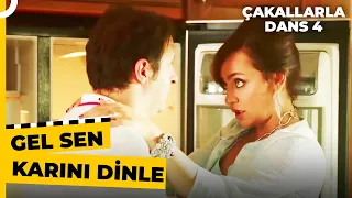 Fikirlerimden İstifade Et Servet! | Çakallarla Dans 4