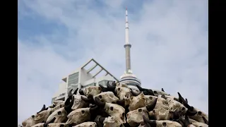 Built On Genocide: Indigenous Artist’s Work Features Mountain Of Skulls