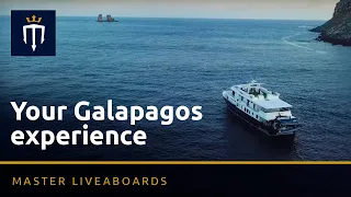 Your Galapagos experience with Master Liveaboards