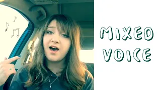 How to Blend Vocal Registers and Erase Your Vocal Break - Learn Mixed Voice!