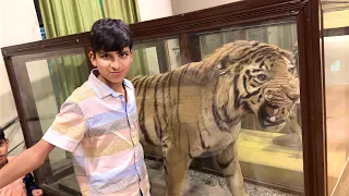 Ye Hai Real Tiger 😲 Kya Hua eske Sath ?