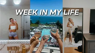 busy week in my life: a very exciting announcement, at home abs, + upper body workout