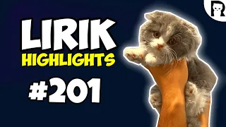 My New Kitten - Lirik Highlights #201