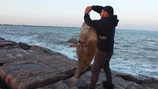 Fisherman Catches GIANT Fishing the Jetty! ASMR FIshing