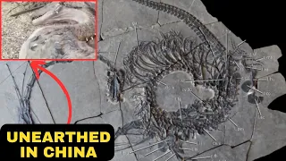 Fossil of 240-million-year-old 'DRAGON' FOUND IN CHINA