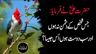 Munafiq Insane Ki Nishani || Hazrat Ali Quotes in Urdu || Hazrat Ali Aqwal