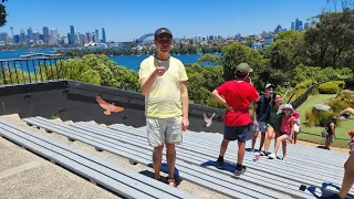 (4k) Taronga Zoo summer walk tour (long version) | Sydney, NSW, Australia.