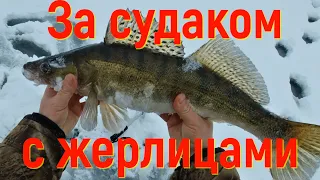 За судаком с жерлицами