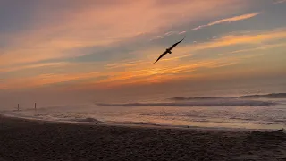 Relaxing Ocean Waves Sunrise  (Ocean City, MD)