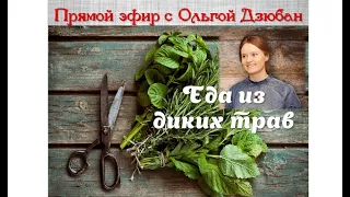 Зелёная кулинария/Еда из диких трав/Ольга Дзюбан и Оксана Мицкевич