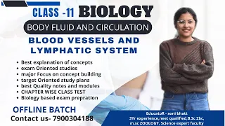 BLOOD VESSELS AND LYMPHATIC SYSTEM  || BODY FLUID AND CIRCULATION || CLASS 11 BIOLOGY CBSE