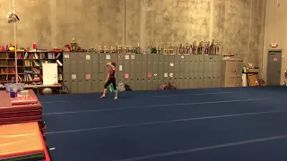 Level 5 Floor Routine 2018